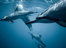 乐鱼体育官网：在选择与热情之间，遇见更精彩的自己